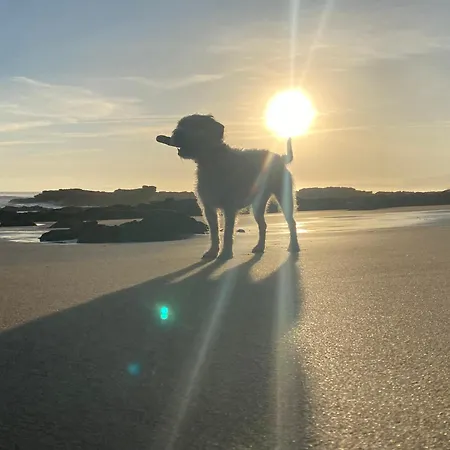 Σπίτι διακοπών Casa En Aldea 20 Sales (Colunga)